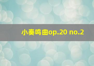 小奏鸣曲op.20 no.2